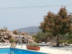 Pool Pool